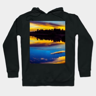 Aesthetic sunset Hoodie